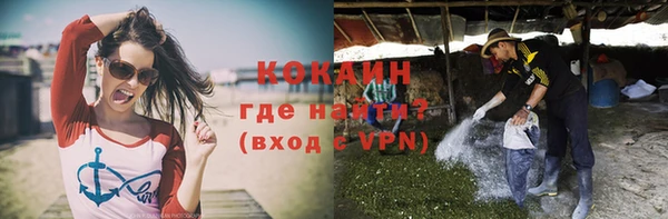 мяу мяу мука Горно-Алтайск