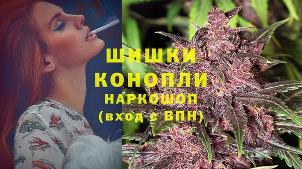 мяу мяу мука Горно-Алтайск