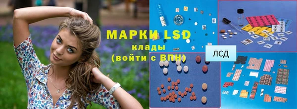 мяу мяу мука Горно-Алтайск